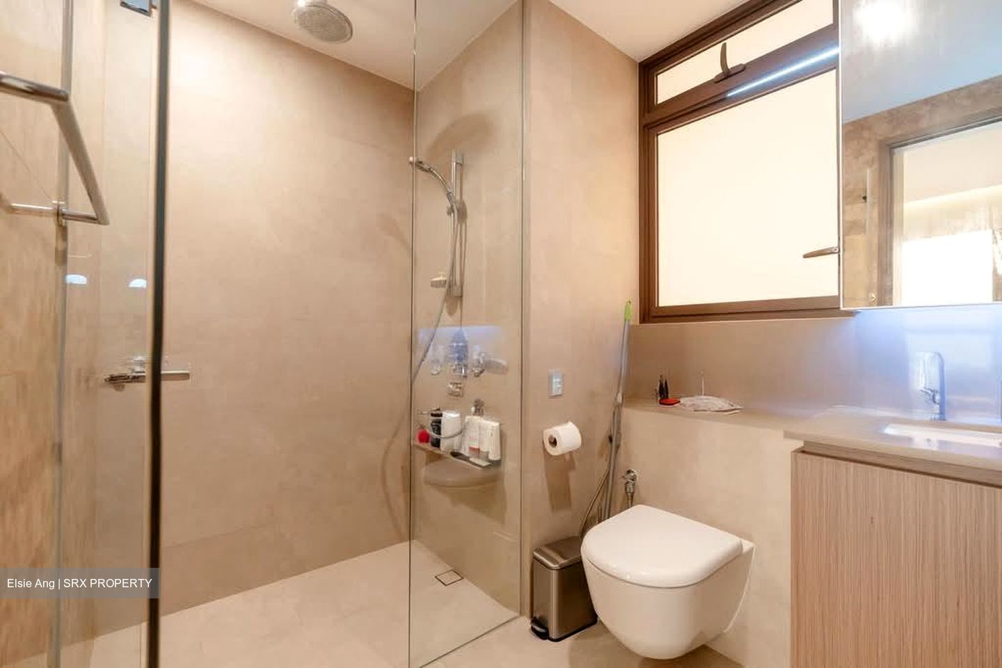 Seaside Residences (D15), Apartment #580704871